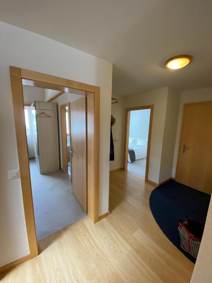 The Nest - Great Overview Zermatt